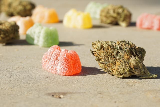 Mixed Berry Gummies (100mg)